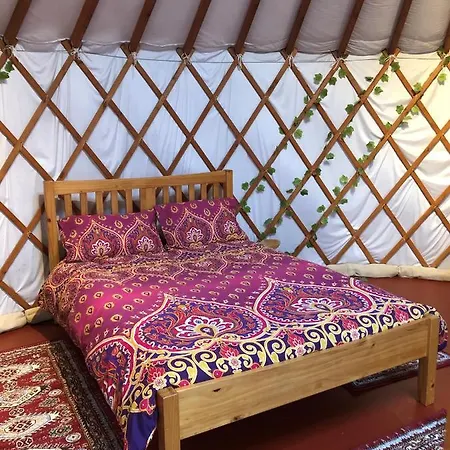 The Yurts At Burnt House Farm Hotel Newport  Exterior photo
